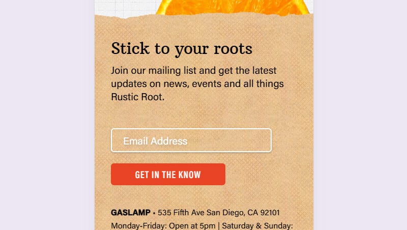 Rustic Root's mailing list sign-up uses adequate size and space for the email address box and sign-up button.